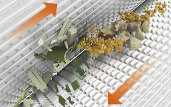 Cracked Corn in Silage